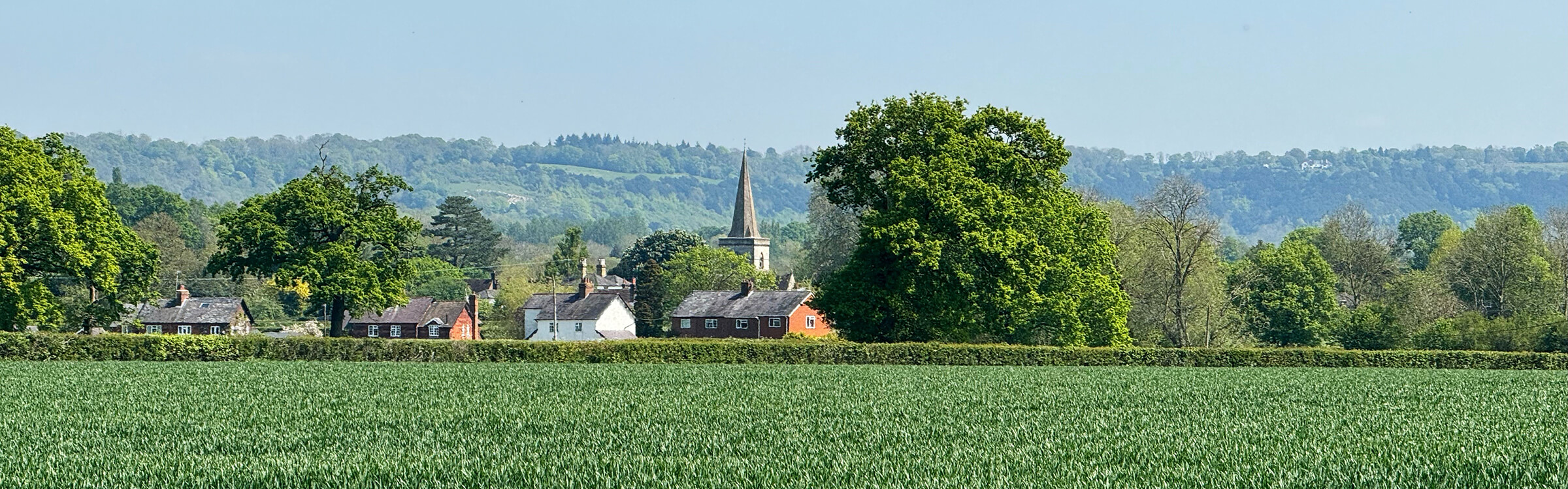 Local Field